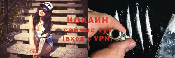 ешки Бородино