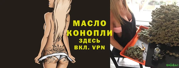 ешки Бородино