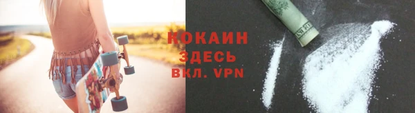 ешки Бородино