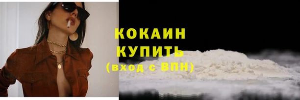 ешки Бородино